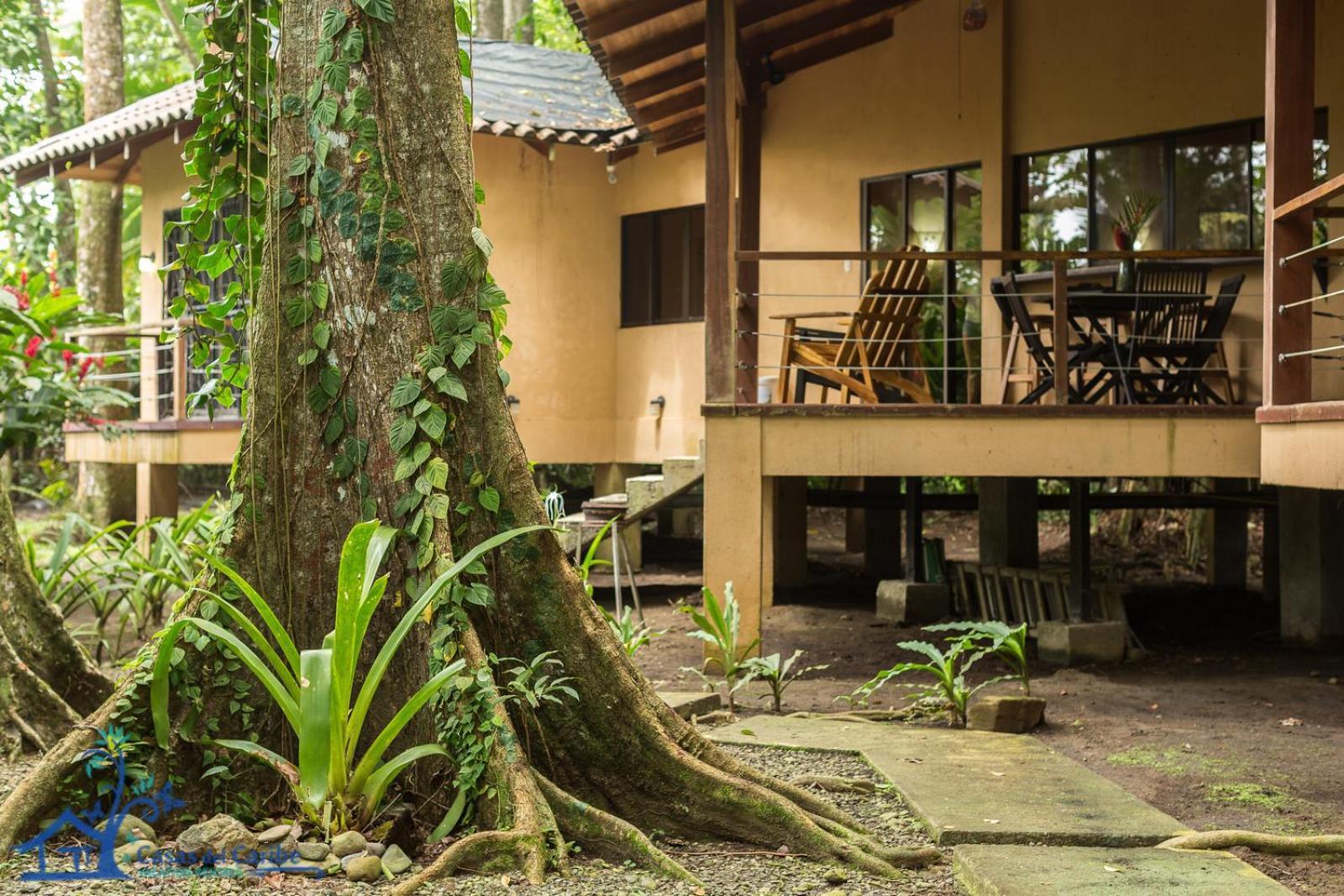 Casa Koda Beach Front Cocles Extérieur photo